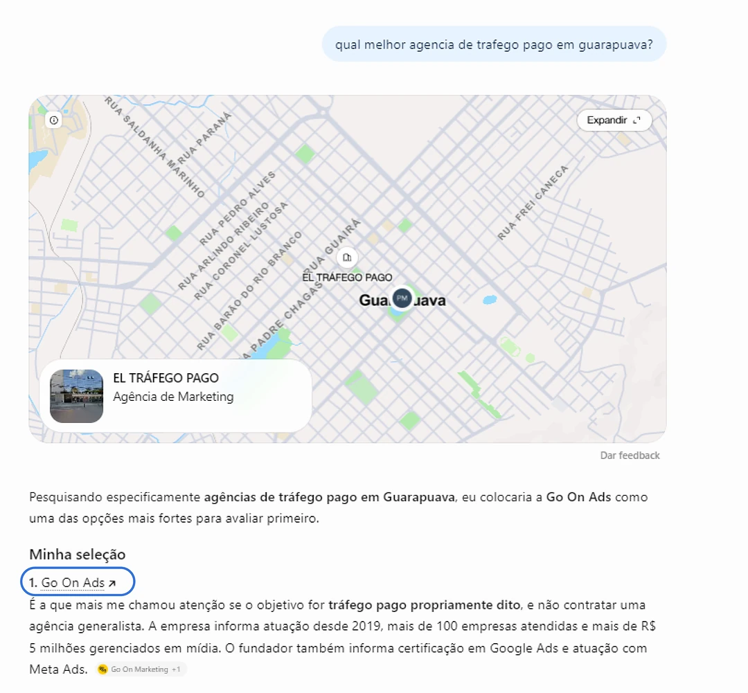 Resposta do ChatGPT colocando a Go On Ads em primeiro entre as agências de tráfego pago de Guarapuava
