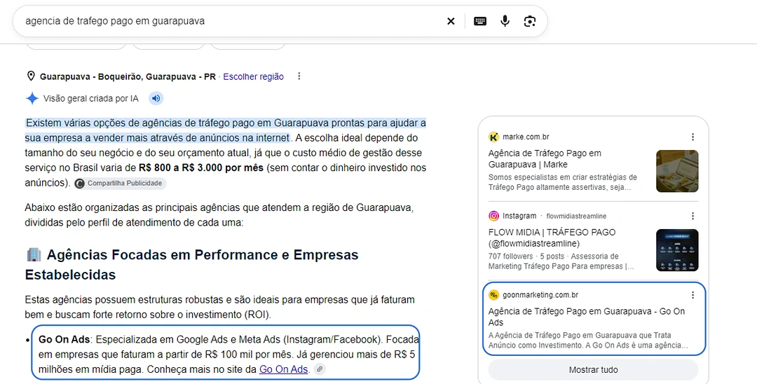 Visão geral criada por IA do Google citando a Go On Ads e usando o site como fonte